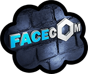 Заработок с Facecom.info