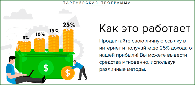 как работает партнерская программа Payeer