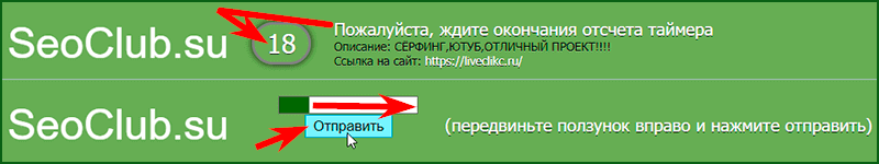 подтверждение просмотра сайта в серфинге на Seoclub